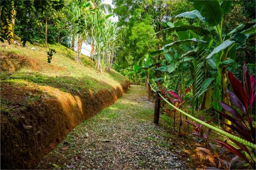 Jardín al aire libre en Las Cotingas Ocean View
