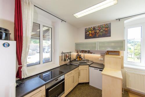 a kitchen with a sink and a refrigerator at Hájenka Čenkovice in Čenkovice