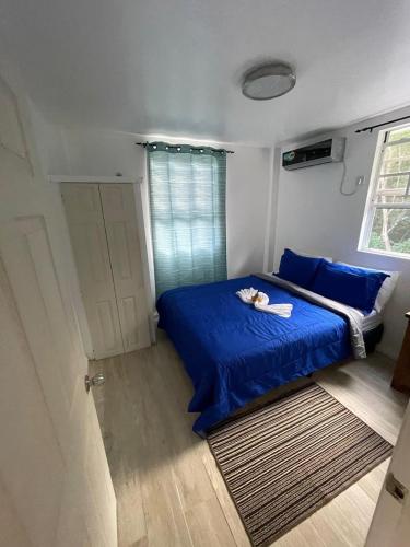 a bedroom with a blue bed and a window at Caribbean Dream Vacation Property 8 in Reduit