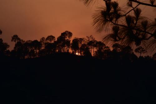 Galería fotográfica de The Peak Explorers !! en Kasauli