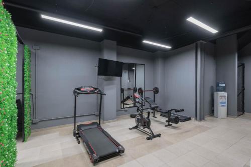 Fitness centrum a/nebo fitness zařízení v ubytování MOT Mansion Mitre 'D' - 4 pax Gym & Jacuzzi