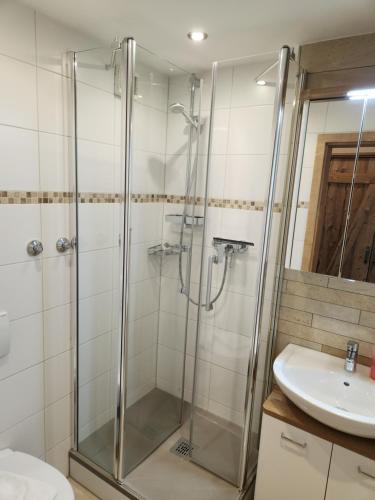 a bathroom with a shower and a sink at Landgasthof Hummel in Ebensfeld