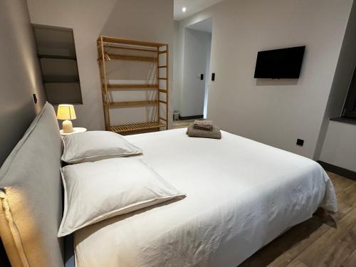 a bedroom with a large white bed and a television at Ancien Pigeonnier Centre-Ville historique de Vesoul Bain nordique Terrasse Jardin Animaux bienvenus in Vesoul
