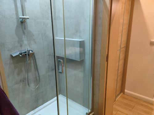 a shower with a glass door in a bathroom at 1904 Loft in Świnoujście