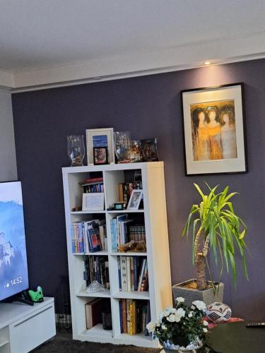a book shelf filled with books in a living room at Hjemme koselig og sentralt leilighet in Fredrikstad