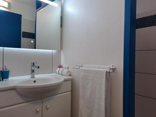 ein weißes Badezimmer mit Waschbecken und Spiegel in der Unterkunft Studio Capucine in Sainte-Anne