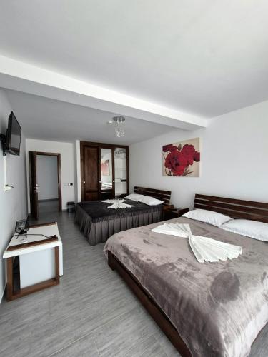a hotel room with two beds and a television at Casa de vacanta Larisa in Novaci-Străini