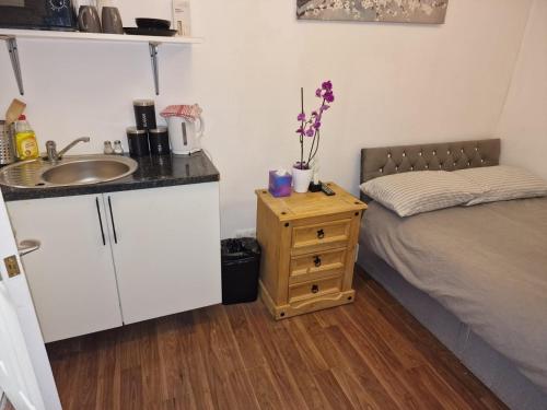 a bathroom with a sink and a bed and a counter at Mile End Suites in London