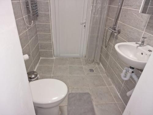 a bathroom with a toilet and a sink at Mile End Suites in London