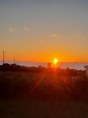 a sunset over a field with the sun in the sky at Esclusiva villa nella natura vista mare e tramonti in Marina di Sorso