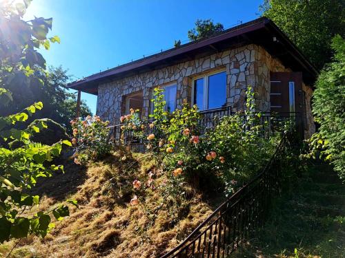 Dom z tarasem wśród pól i lasu - przestronny salon, blisko natury