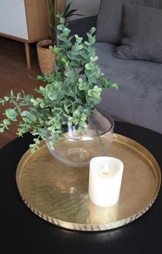 une bougie et un vase avec une plante sur une table dans l'établissement T2 cosy - gare, plage et intramuros à pied, à Saint-Malo