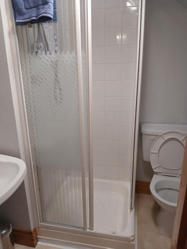 a bathroom with a shower and a toilet at Roshine hill in Shanbally