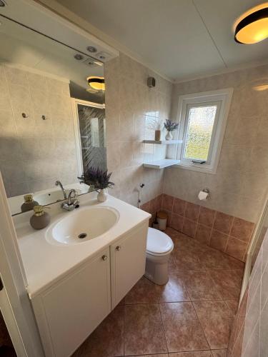 a bathroom with a sink and a toilet at ViVe in Putten