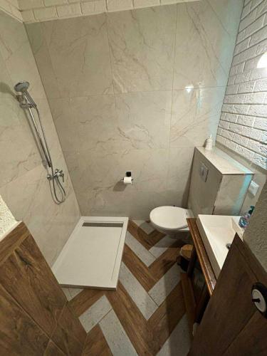 a bathroom with a shower and a toilet at AgroStudio 
