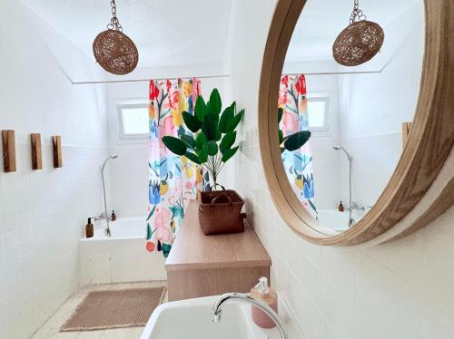 a bathroom with a mirror and a potted plant at Appartement rez de jardin - Casa San Cesaru in Bains de Guitera