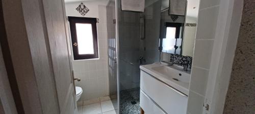 une salle de bain avec un lavabo, des toilettes et un miroir dans l'établissement Bienvenue au gîte du Caillou, à Montagnac-sur-Auvignon