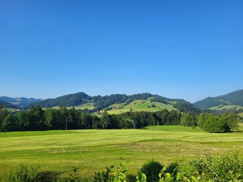 a green field with mountains in the background at Ferienwohnung Zum Hochgrat in Oberstaufen