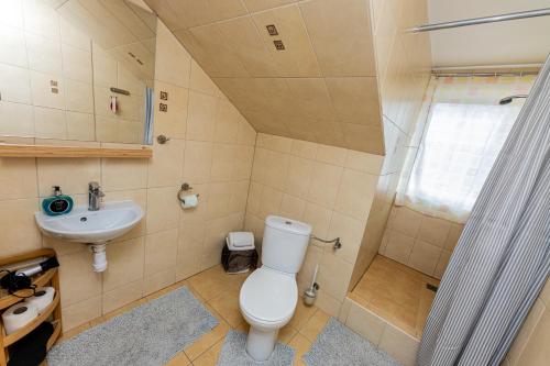 a bathroom with a toilet and a sink and a shower at Dom Wypoczynkowy Anna - opcjonalnie śniadania w Starej Piekarni in Kołobrzeg