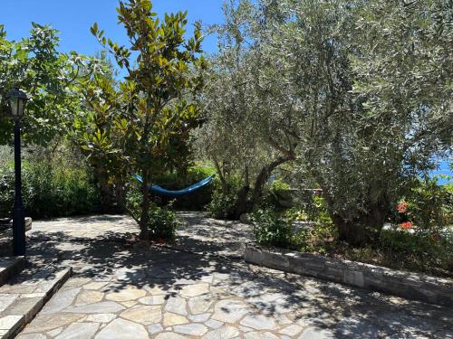 Taman di luar Olive Grove House