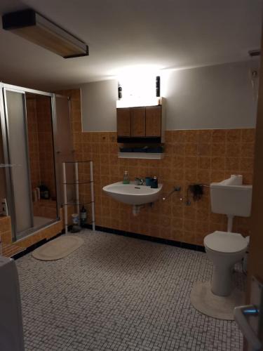 a bathroom with a sink and a toilet at Wellcome in Evita House in Dassel