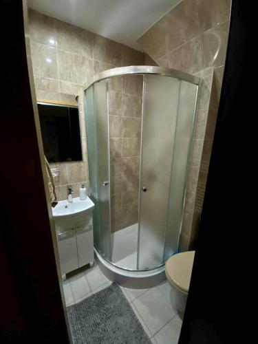 a bathroom with a shower and a toilet and a sink at Pokoje "U Moniki" in Ząb