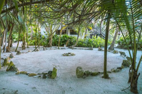 a beach with some rocks and palm trees at Sol Caribe in Punta Allen