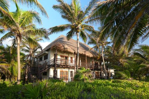 a house with a thatched roof and palm trees at Sol Caribe in Punta Allen
