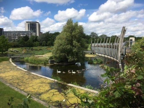 a bridge over a river with ducks in the water at Mile End Suites in London