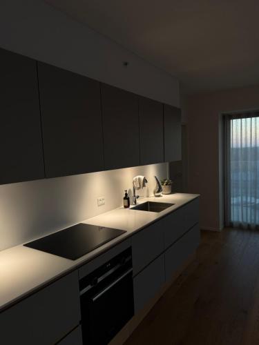 a kitchen with a sink and a counter top at Lighthouse på Ø - Panoramaudsigt in Aarhus