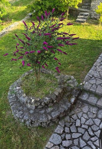 a plant in a stone circle with purple flowers at Villa del Poggio in Poggio Mirteto