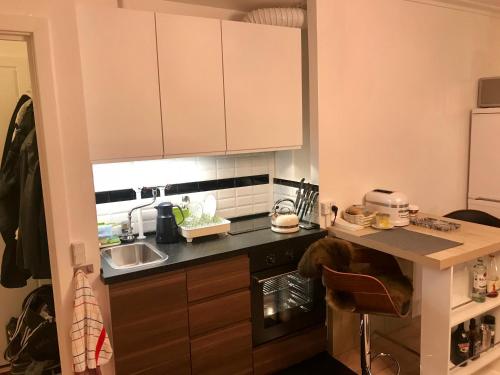 a small kitchen with a counter and a sink at Luxury Scandanavian Style flat near city in Charlottenlund