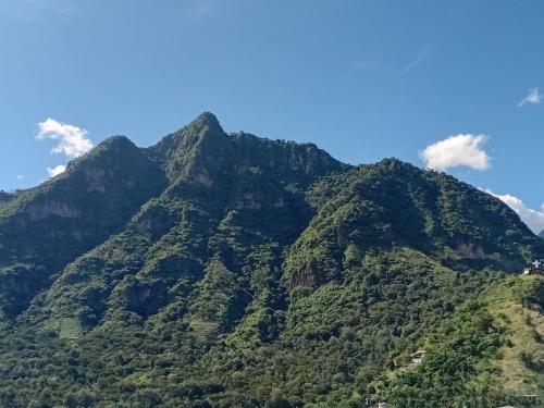 ゲストハウスの近くで見られる自然の景観