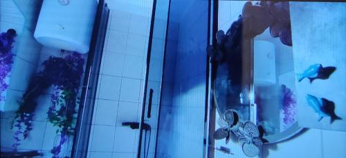 an overhead view of a shower with fish in it at Marija in Kaštela