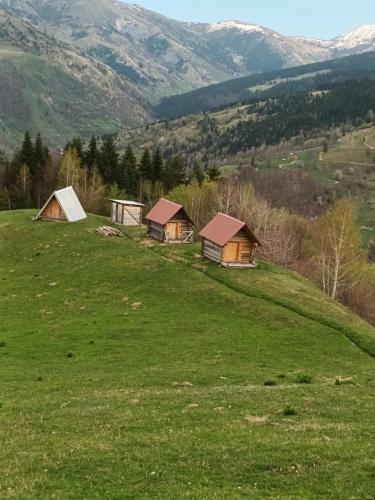a group of tents on a grassy hill with mountains at Eco katun Kofiljača in Plav