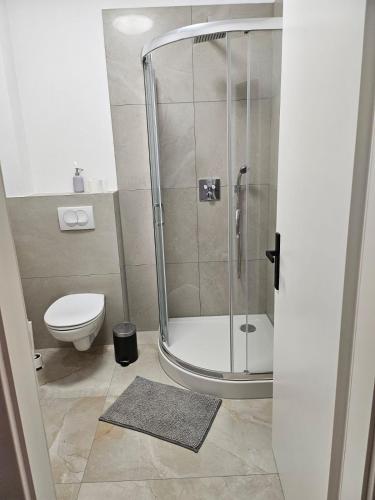 a bathroom with a shower and a toilet at Waldeslust Pension in Oelde
