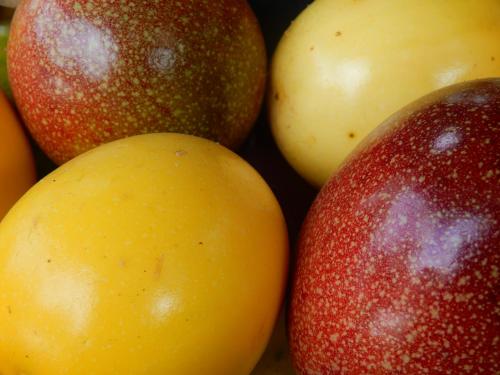 Φωτογραφία από το άλμπουμ του Eco Camping Jarabacoa σε Jarabacoa