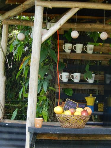 a basket of fruit on a table with cups and plants at Eco Camping Jarabacoa in Jarabacoa