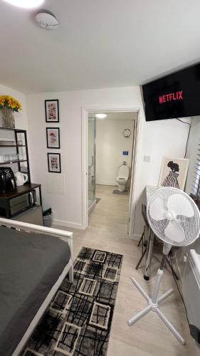 TV a/nebo společenská místnost v ubytování Modern studio en-suite