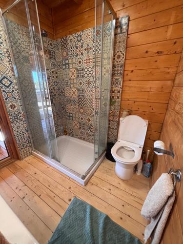 a bathroom with a shower and a toilet at Casa Madeira no Monte in Almancil