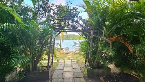 a garden with a pergola with chairs and palm trees at Pieds dans l'eau F2 pointe du bout trois-Ilets in Lazaret