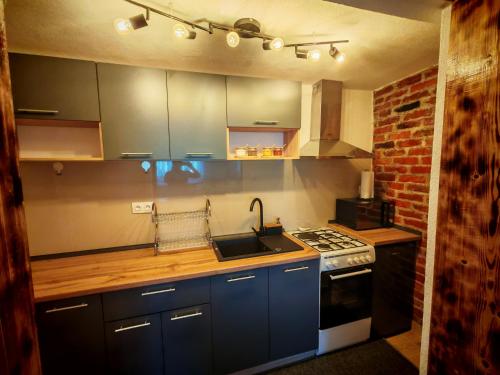 Η κουζίνα ή μικρή κουζίνα στο Apartman TINA
