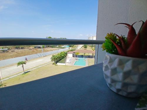 a vase with a plant sitting on a table with a window at PH Las Islas Punta Barco Viejo a 3 min de Coronado in San José