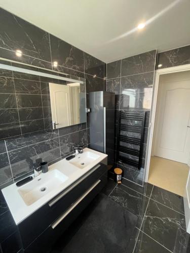 a bathroom with a sink and a mirror at Villa L'Etoile Du Littoral in Boulogne-sur-Mer