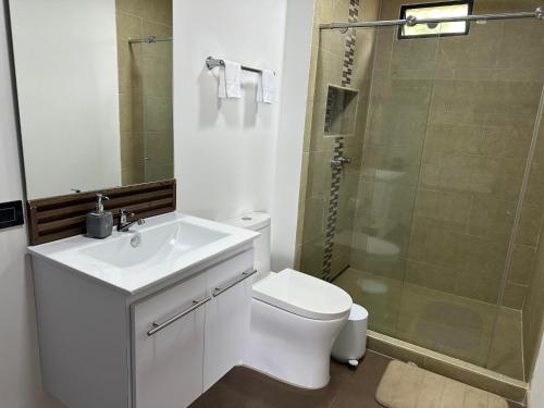 a bathroom with a toilet and a sink and a shower at BALCÓN DE SANTA MARÍA 2 in Dosquebradas