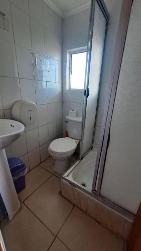 a bathroom with a toilet and a shower and a sink at Habitaciones y Apartamentos el Caleuche El Tabo in El Tabo