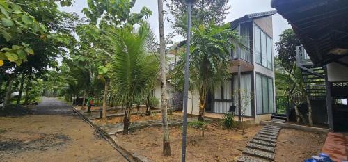 a house with palm trees next to a building at Homestay Dat Viet in Tân Phú