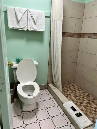 a bathroom with a toilet and a shower at Travelers inn in Bethania Station