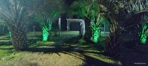 Giardino di A pasitos del mar