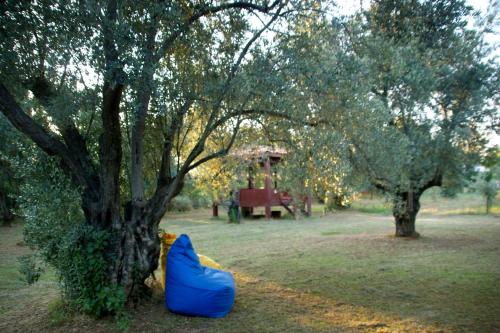 a blue bag is sitting next to a tree at Emel Pension in Guzelcamlı